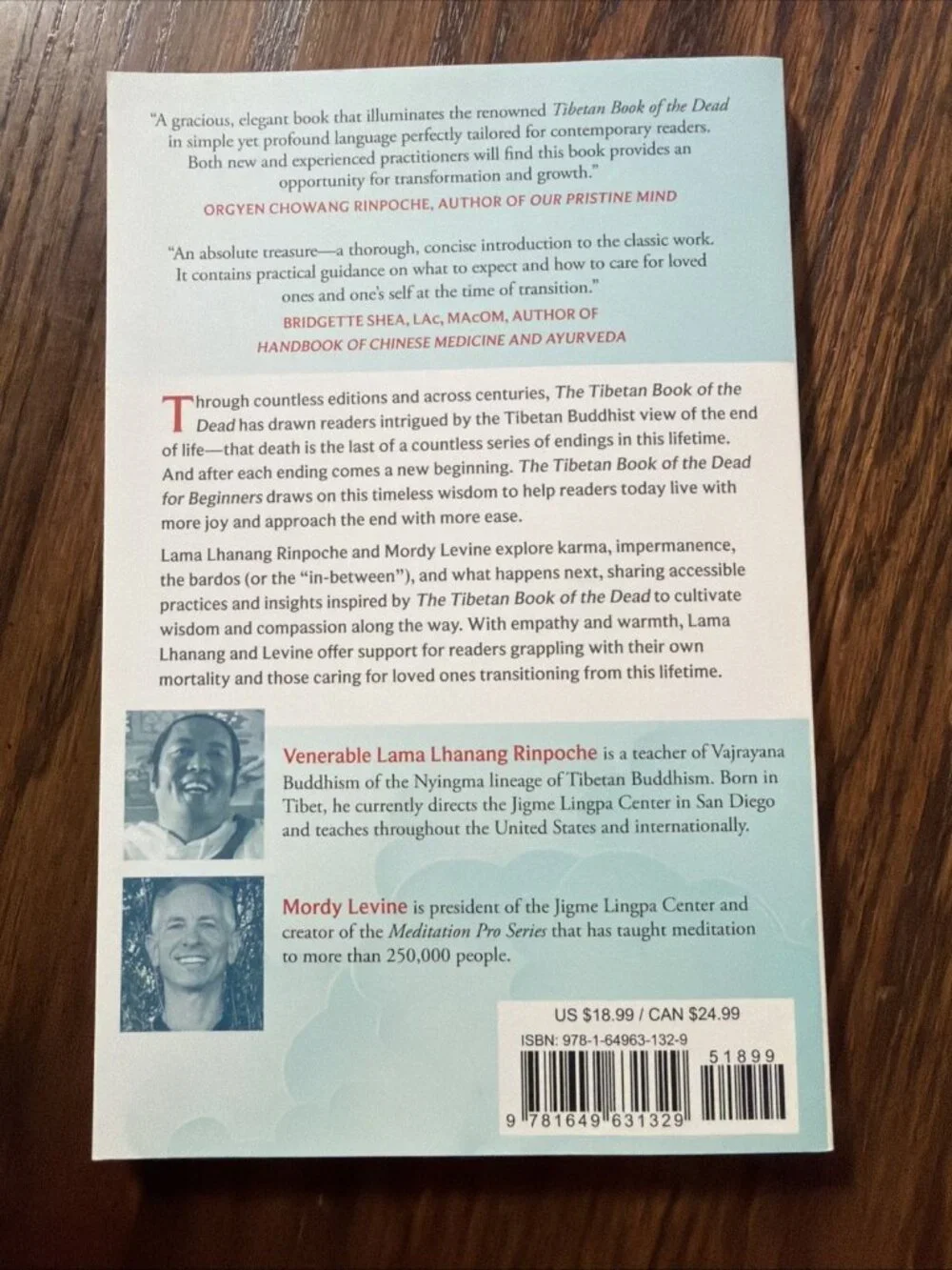 The Tibetan Book of the Dead for Beginners: A Guide to Living and Dying